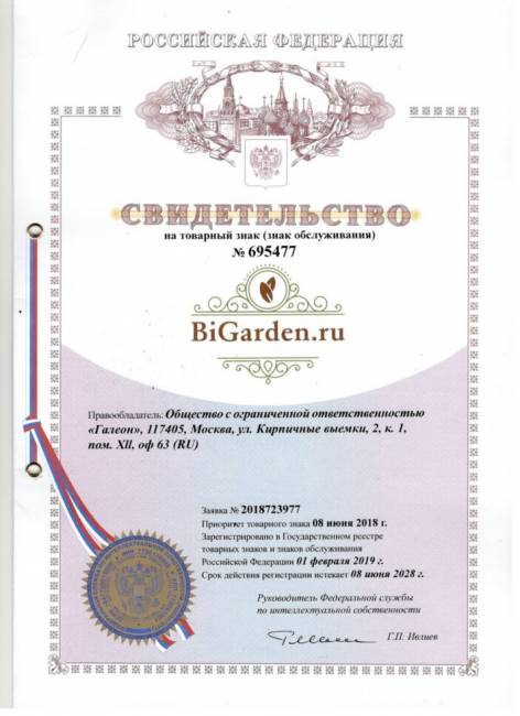 Подвесное кресло в виде капли "Tropica Black BS" Красная подушка Подвесное кресло в виде капли "Tropica Black BS" Красная подушка